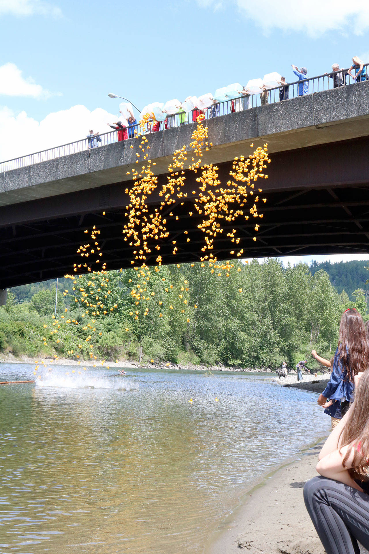 1000 duck are thrown into the Snoqualmie River for the 2019 Duck Derby. Attendees purchase a duck and receive prizes based on their finish in the race down the river. All proceeds were donated to Fall City Elementary. Evan Pappas/Staff Photo