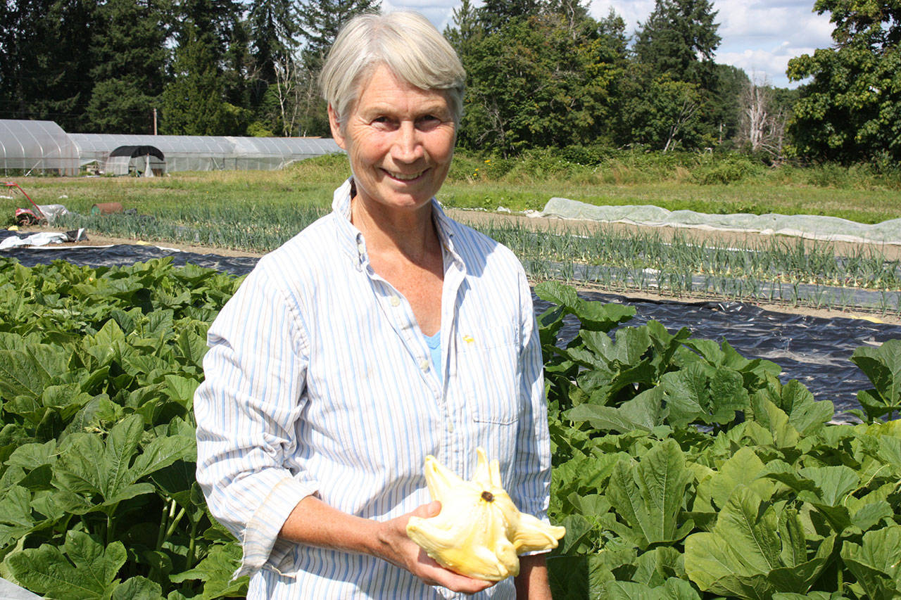 Margaret Hindle is entering her fourth year of farming as part of the Experience Farming Project. This year one of her crops is decorative squash. Aaron Kunkler/staff photo