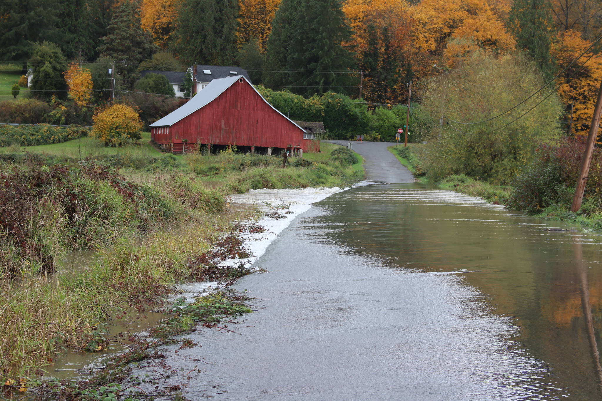 The Snoqualmie River had flooded low-lying areas around SE 100th Street on Oct. 22, 2019. Water can be seen flowing across the closed road here. Aaron Kunkler/staff photo