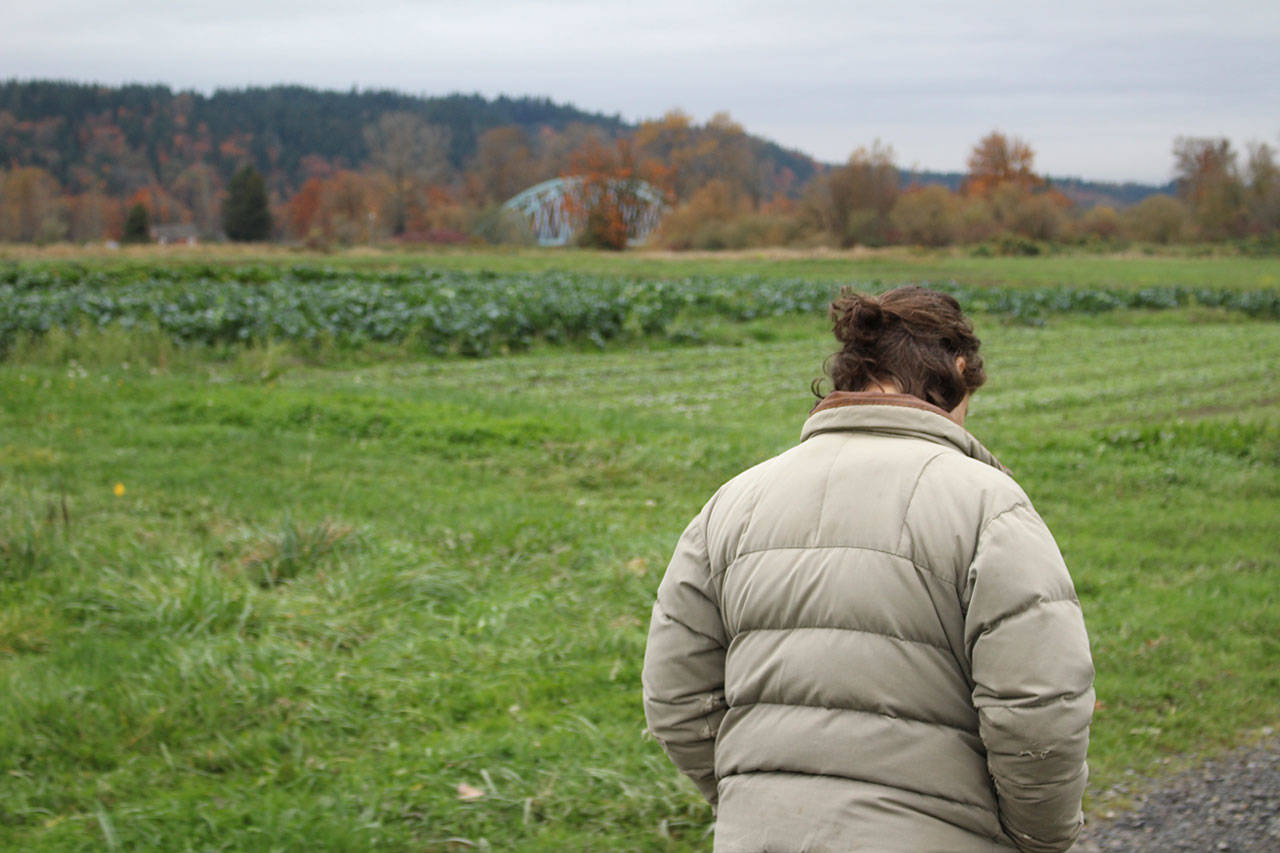 Siri Erickson-Brown, seen here walking in front of some of her fields, said the flooding caught her and other farmers by surprise. If she had two days notice, Erickson-Brown said her staff could have saved an additional 16,000 pounds of produce which was caught in the field. Aaron Kunkler/staff photo