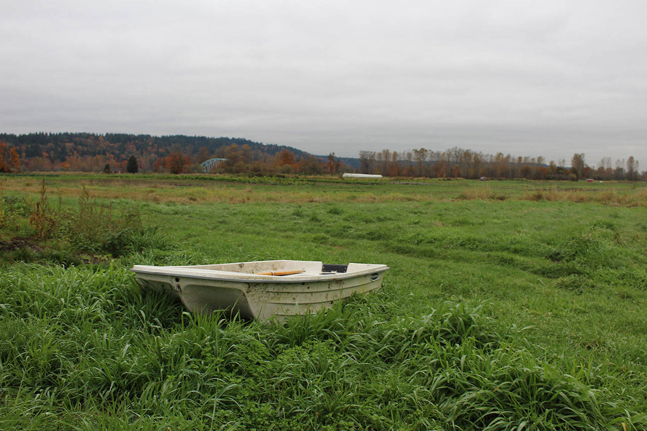 A boat sits on a small hill at Local Roots Farm, which Siri Erickson-Brown and her partner Jason Salvo used to row their children across their flooded farm to the road earlier this week. Aaron Kunkler/staff photo
