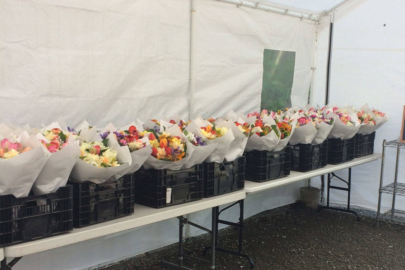 From markets to farm stands, Snoqualmie Valley flower farmers adapt to pandemic