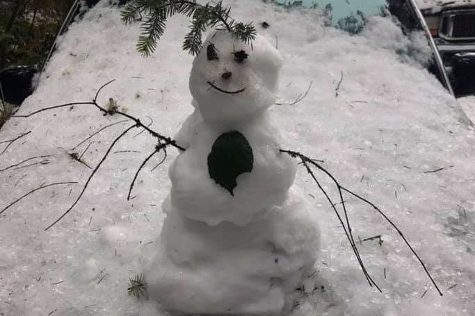 Photo courtesy of Shelby L. Winston