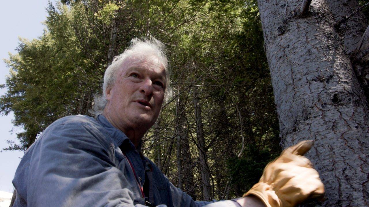 Lead actor, John Green, in a still frame from “Hunting Bigfoot.”
