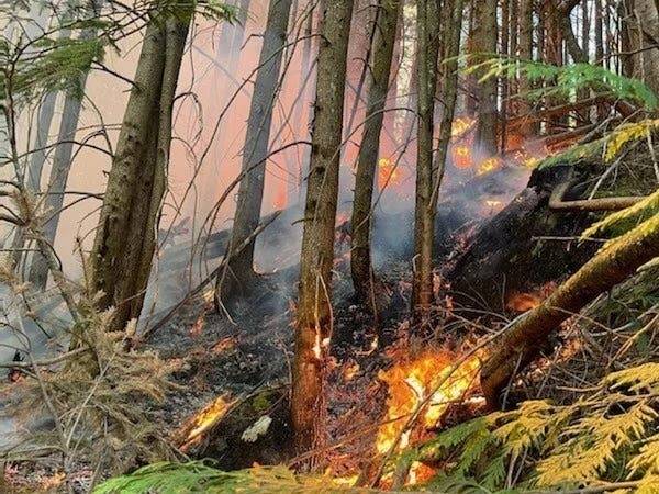 A large brush fire burns near North Bend. Photo Courtesy of Eastside Fire & Rescue.