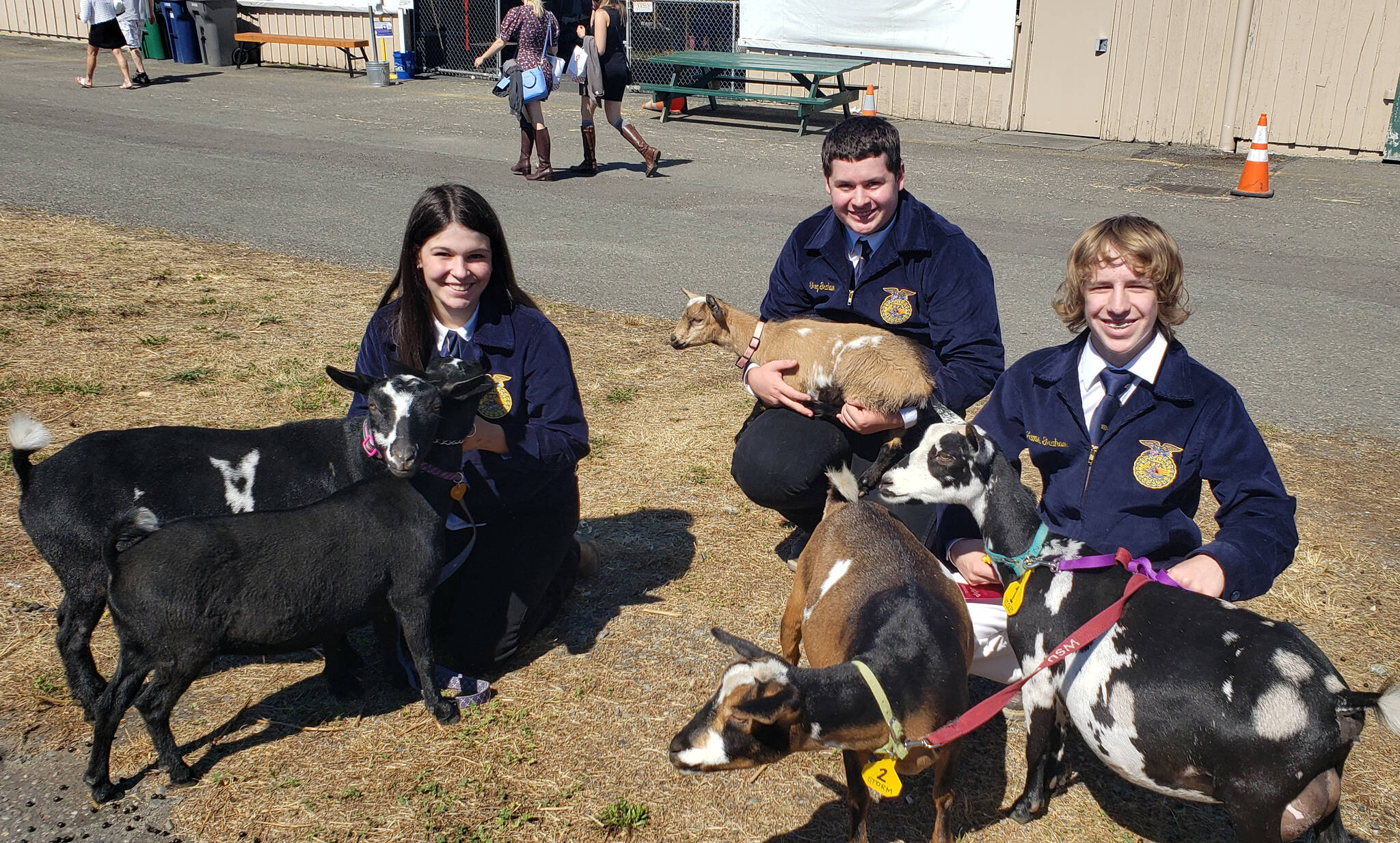 Mount Si FFA students pose with goats, from left Rebecca Glover, Greg Graham, and James Graham. Photo Courtesy of the Snoqualmie Valley School District.