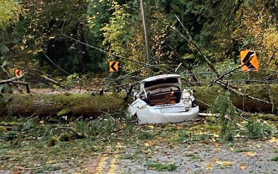 A car is struck by a fallen tree near Preston Sunday, Oct. 24. Photo courtesy of Eastside Fire & Rescue.