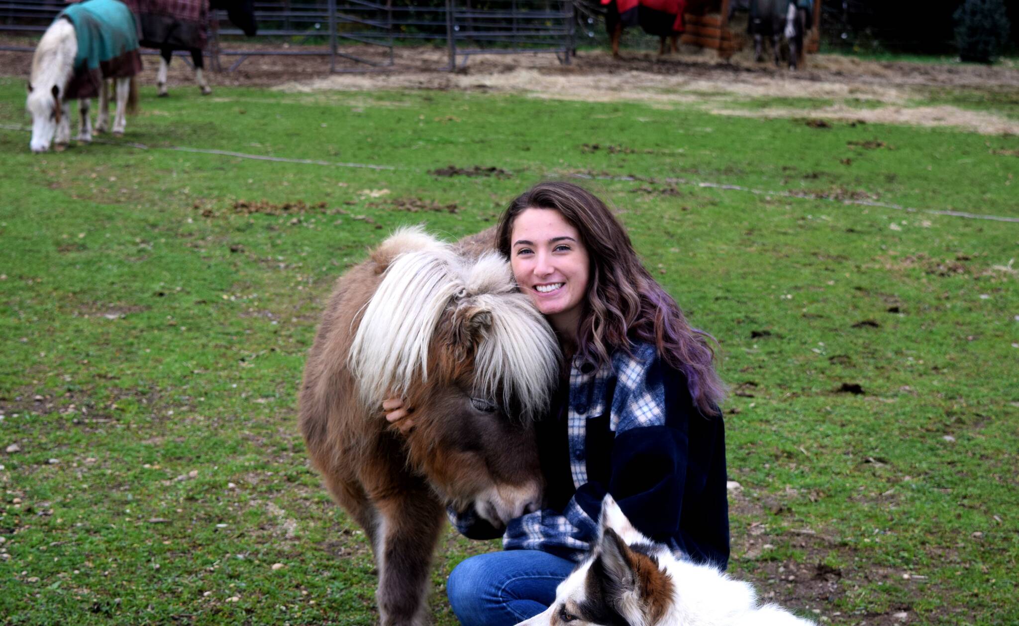 Photo Conor Wilson/Valley Record
Katie Berman, founder of Kataluna Horse Rescue in Fall City.