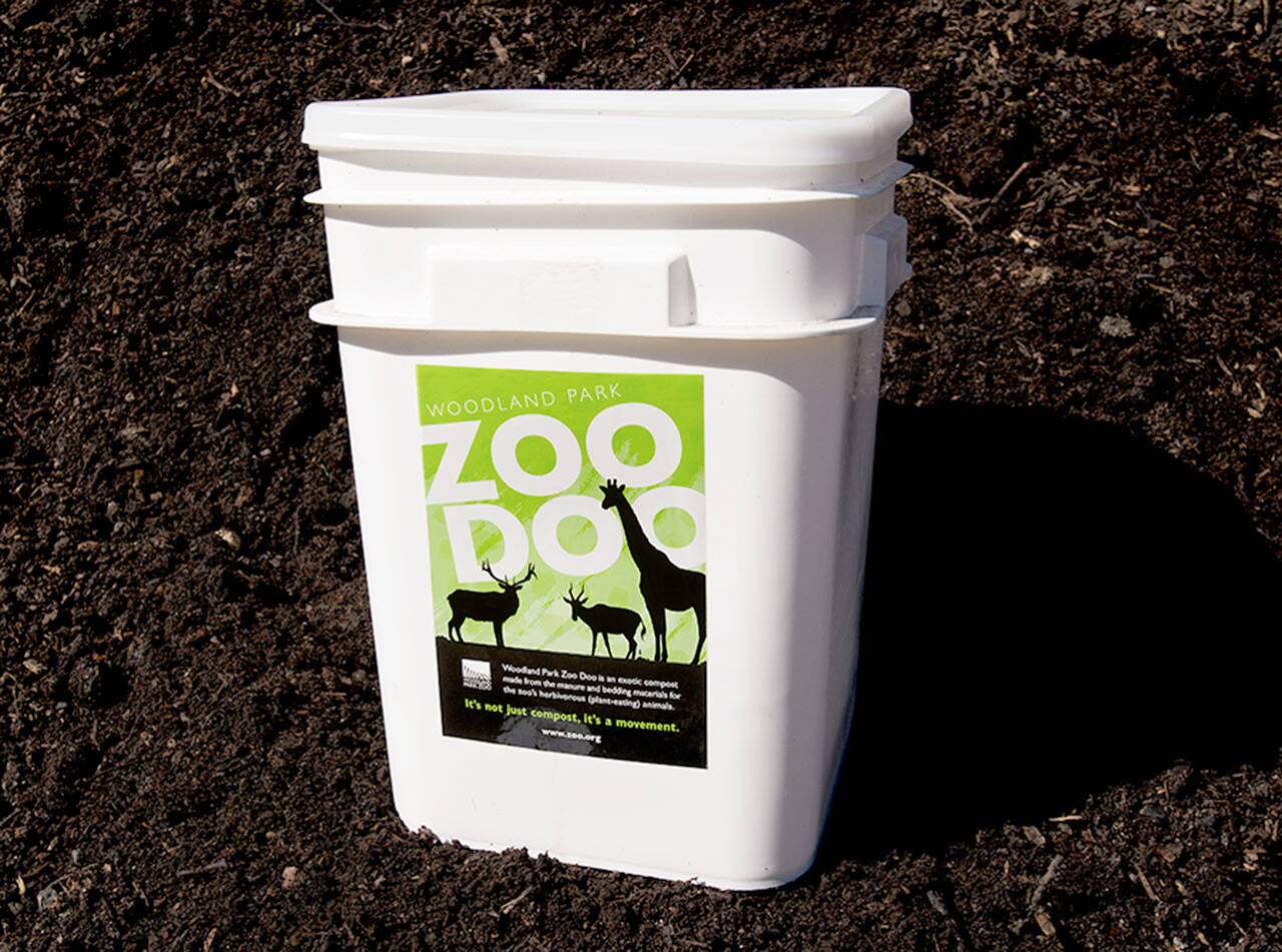 A bucket of Zoo Doo compost at Woodland Park Zoo from a prior Fecal Fest. (Andy Bronson / Herald file)
