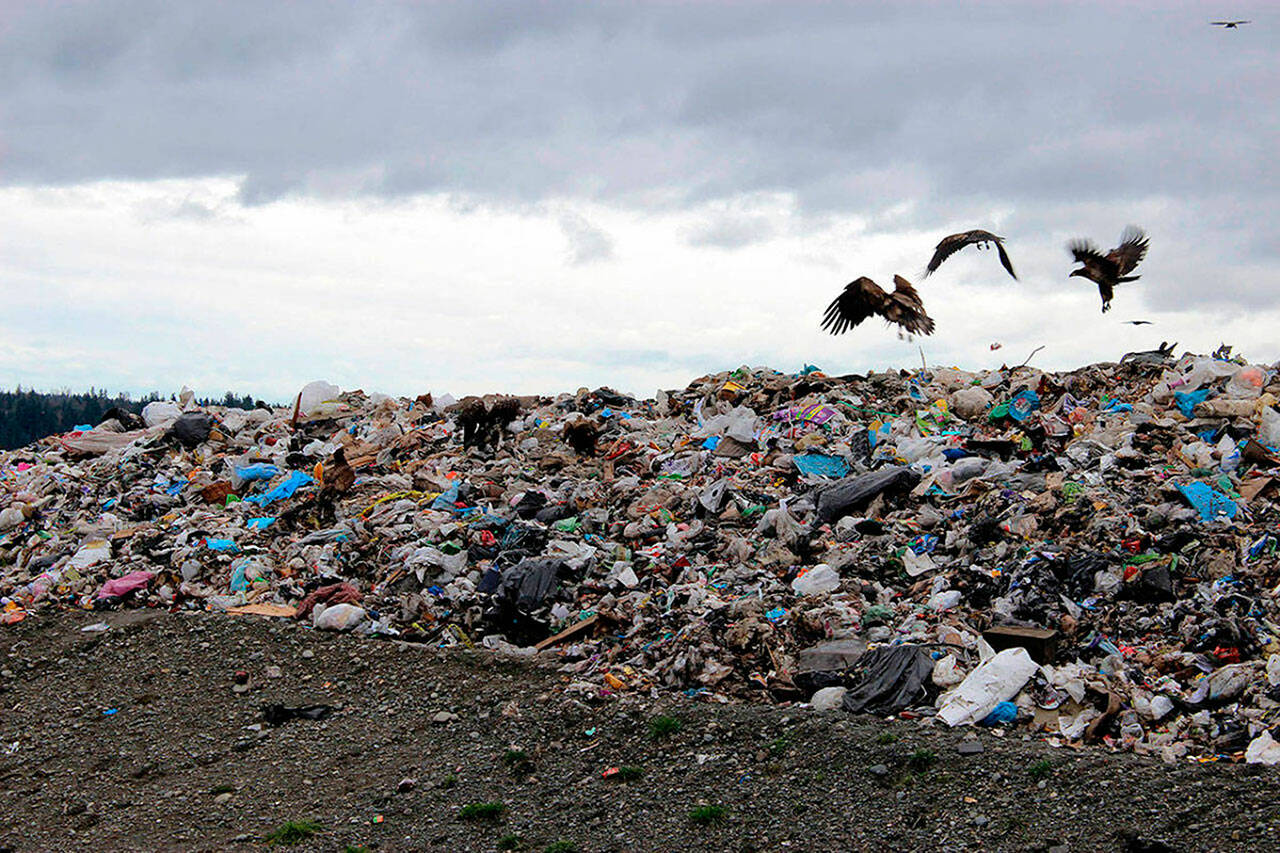 File photo
Cedar Hills Regional Landfill.