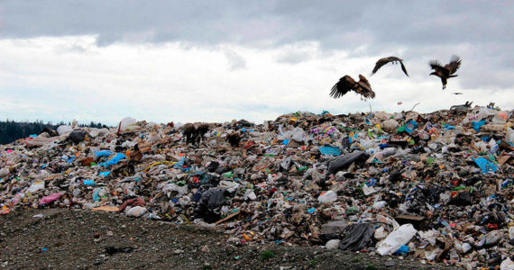 Cedar Hills Regional Landfill. File photo