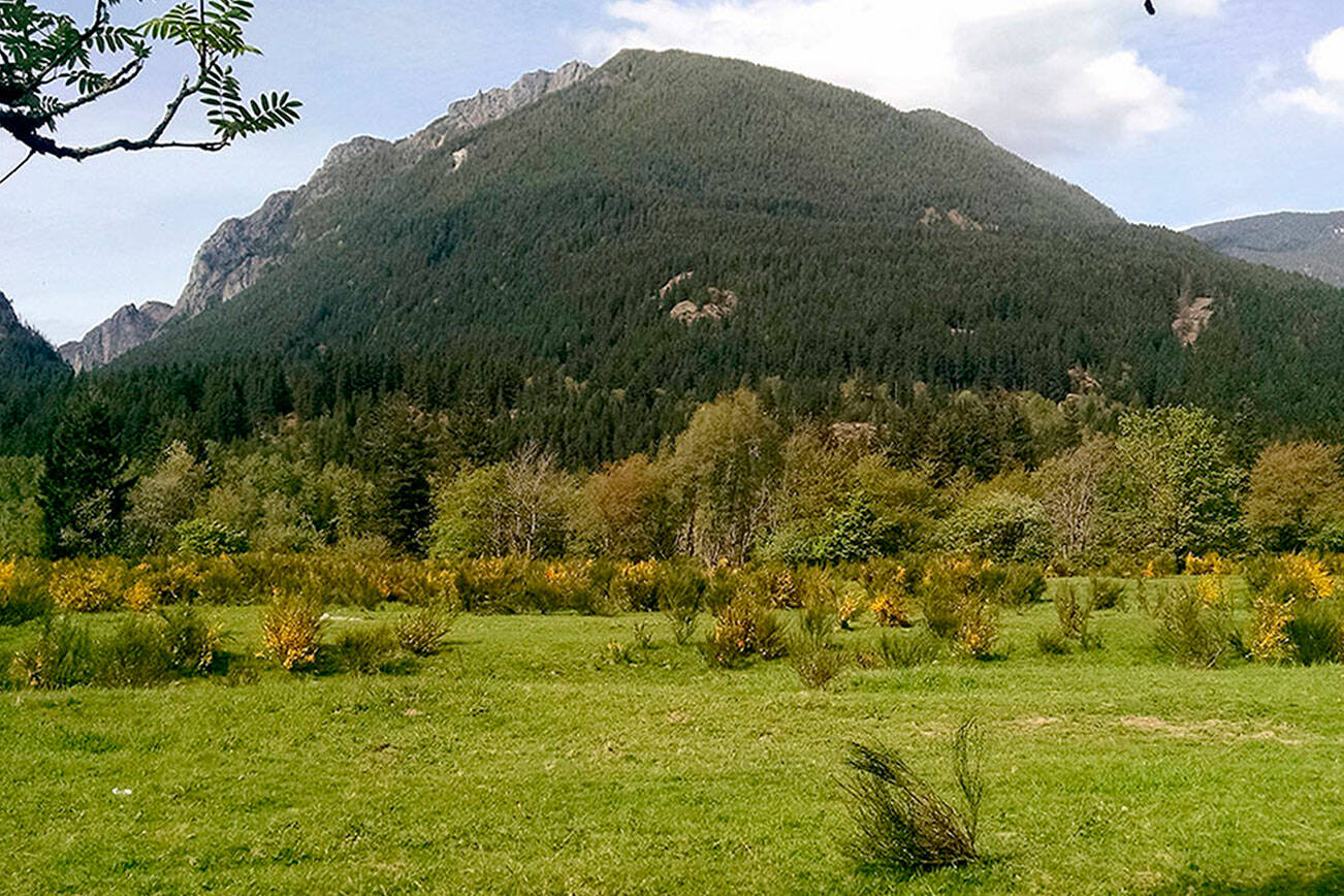A view of Mount Si from the Dahlgren property in this undated photo. Courtesy photo