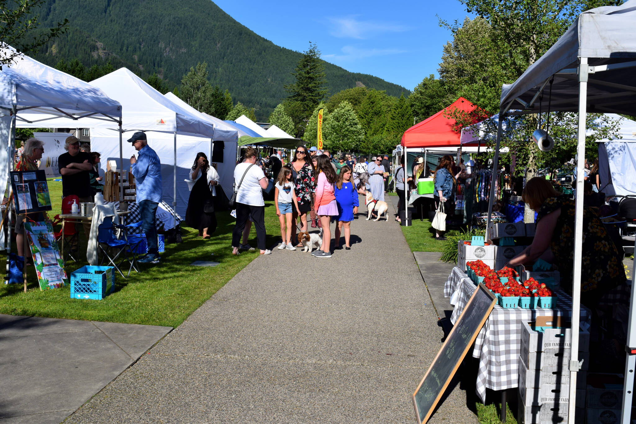The North Bend Farmer's Market on June 23.
