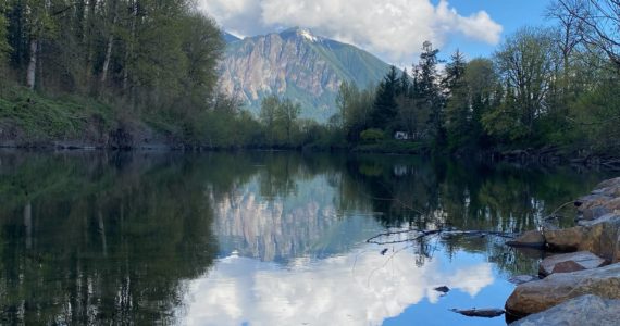 The Snoqualmie River near Park Avenue in Snoqualmie. Photo by William Shaw/Valley Record