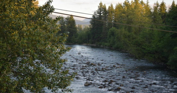 A view of the Snoqualmie River from Mt Si Road bridge in North Bend. File photo by Conor Wilson/Valley Record