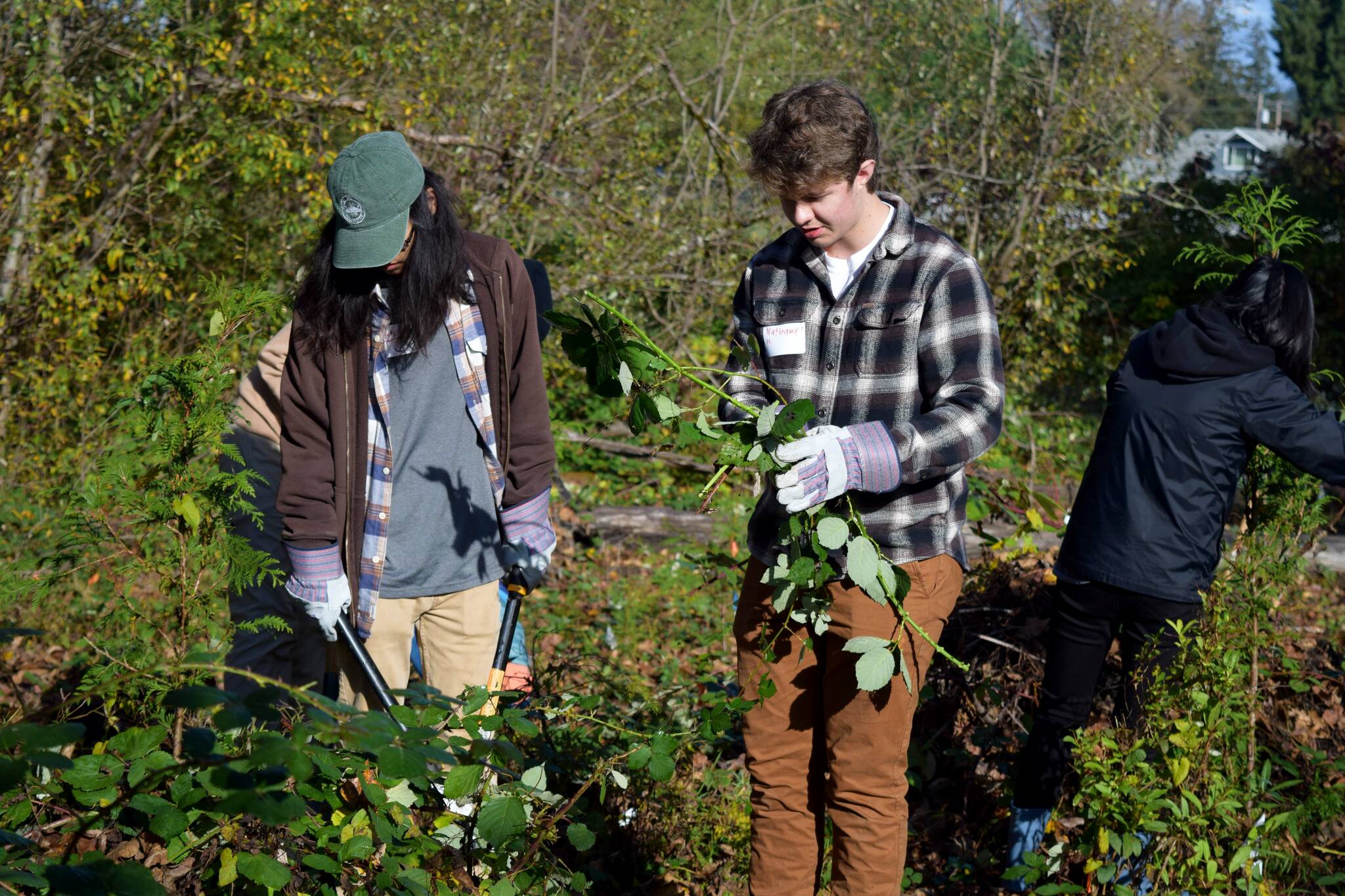 Students at Mount Si Green Team Clean up on Oct. 29. Photos by Conor Wilson/Valley Record