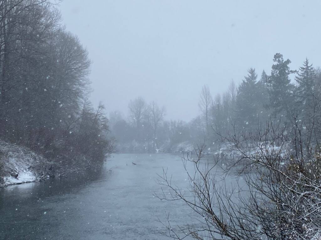 A view of the Snoqualmie River from Park Avenue during the snow on Nov. 29.