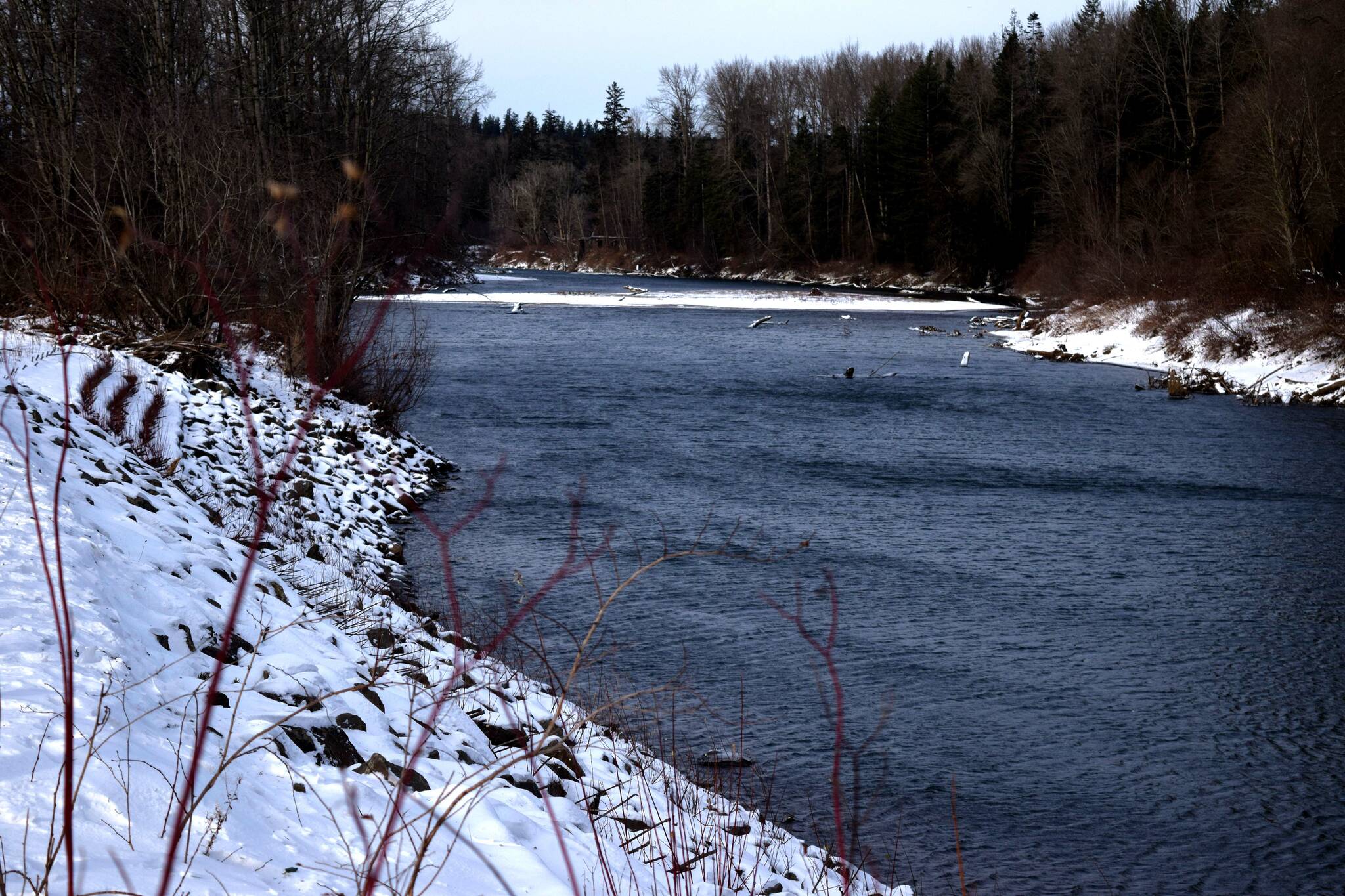 Photo by Conor Wilson/Valley Record 
The Snoqualmie River on Dec. 22.