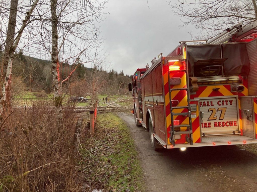 Woman killed by fallen tree in Fall City Snoqualmie Valley Record