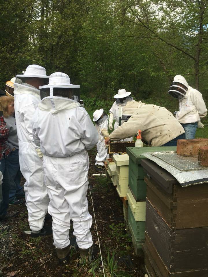 The Snoqualmie Valley Beekeepers Association meets 7 to 9 p.m. every first Tuesday of every month at Meadowbrook Farm Interpretive Center in North Bend.