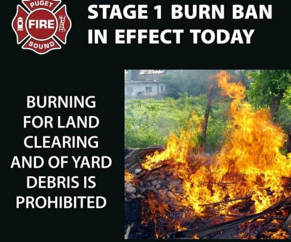 <p>Stage 1 Burn Ban includes the prohibition of burning for land clearing and yard debris. Image courtesy of Puget Sound Fire.</p>