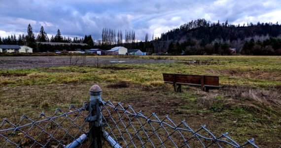 The Schefer Riverfront Property in western Carnation. The property is site of future business park development. Photo by Conor Wilson/Valley Record.