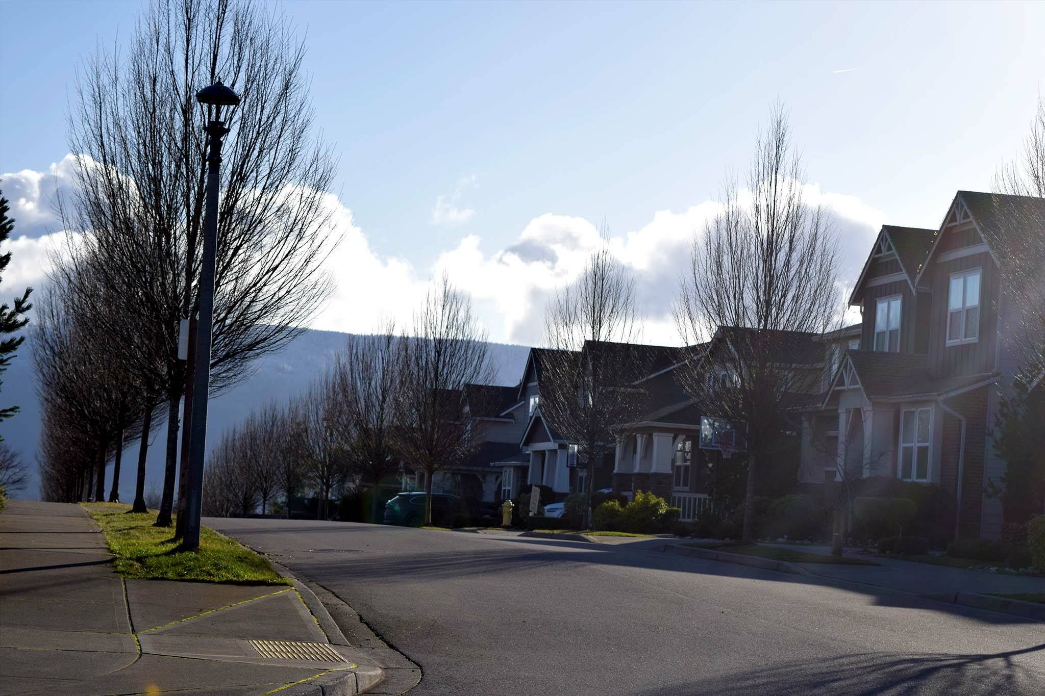 A row of houses in Snoqualmie Ridge. File Photo Conor Wilson.