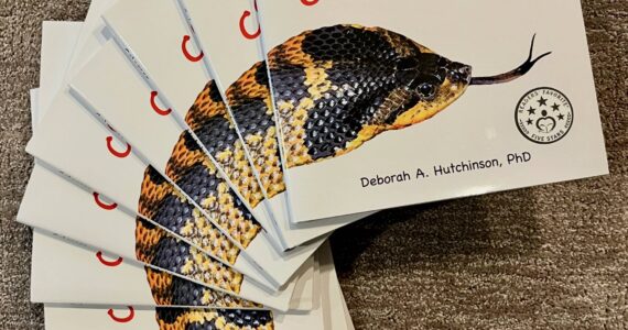 The children’s book “Colorsss” published Sept. 2, 2025. Photo courtesy of Deborah Hutchinson