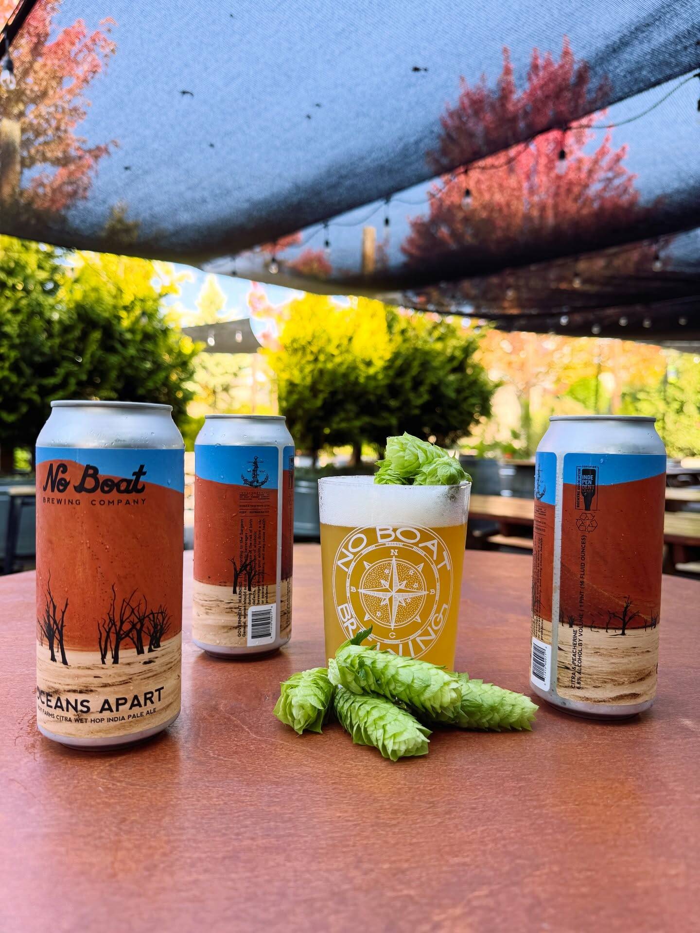 No Boat Brewing Company harvests fresh hops for its brews. Photo courtesy of No Boat Brewing Company