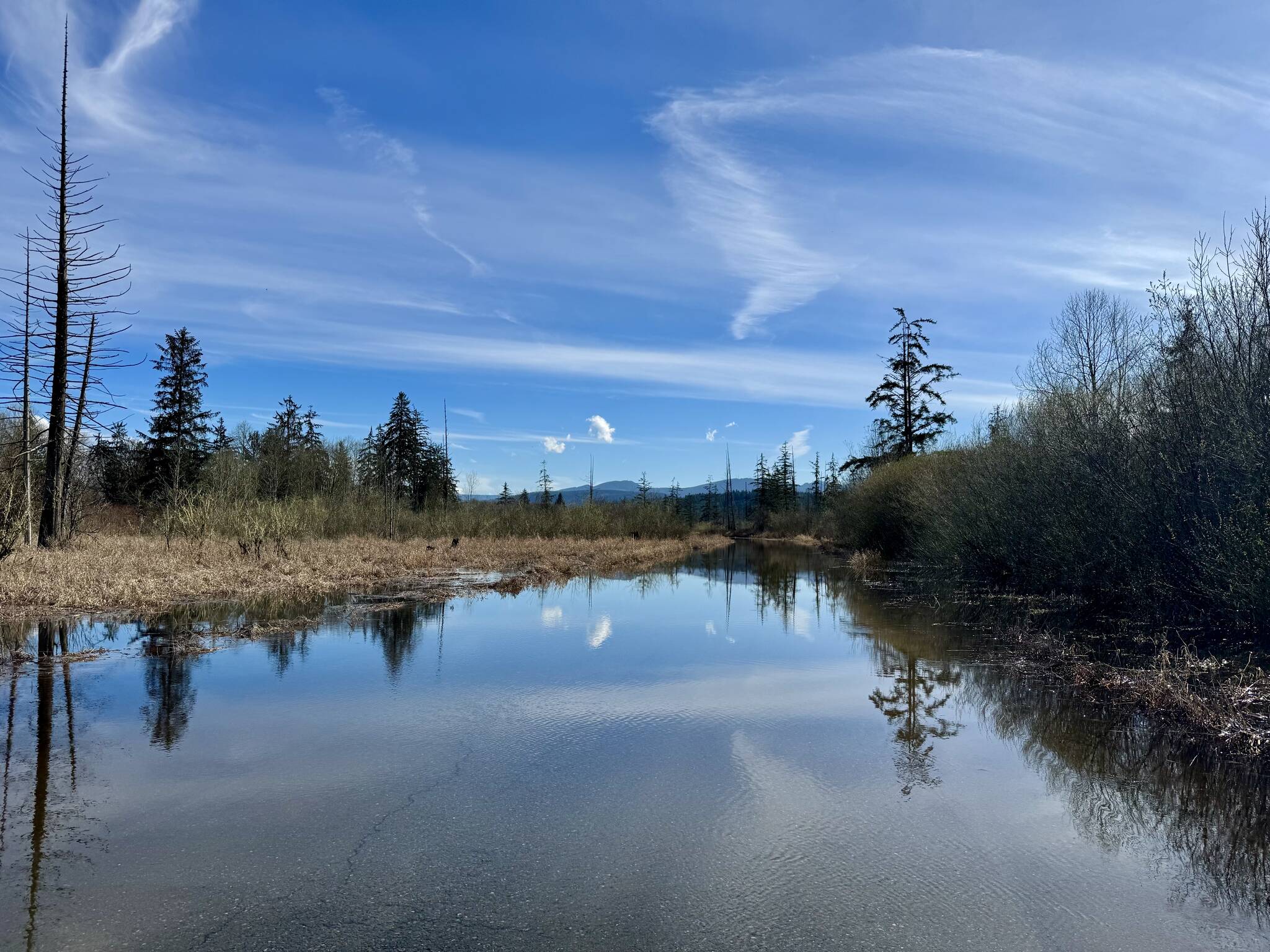 Flood waters make W. Snoqualmie River Road NE near The Blue Heron Golf Course impassable, March 25, 2025. Many secondary roads closed last flood season, despite no main road closures. (Grace Gorenflo/Valley Record)
