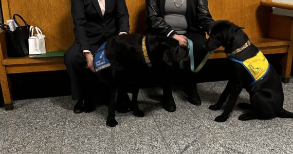 Courtesy photo
Page Ulrey and Felicia Ako of the Courthouse with Errol.