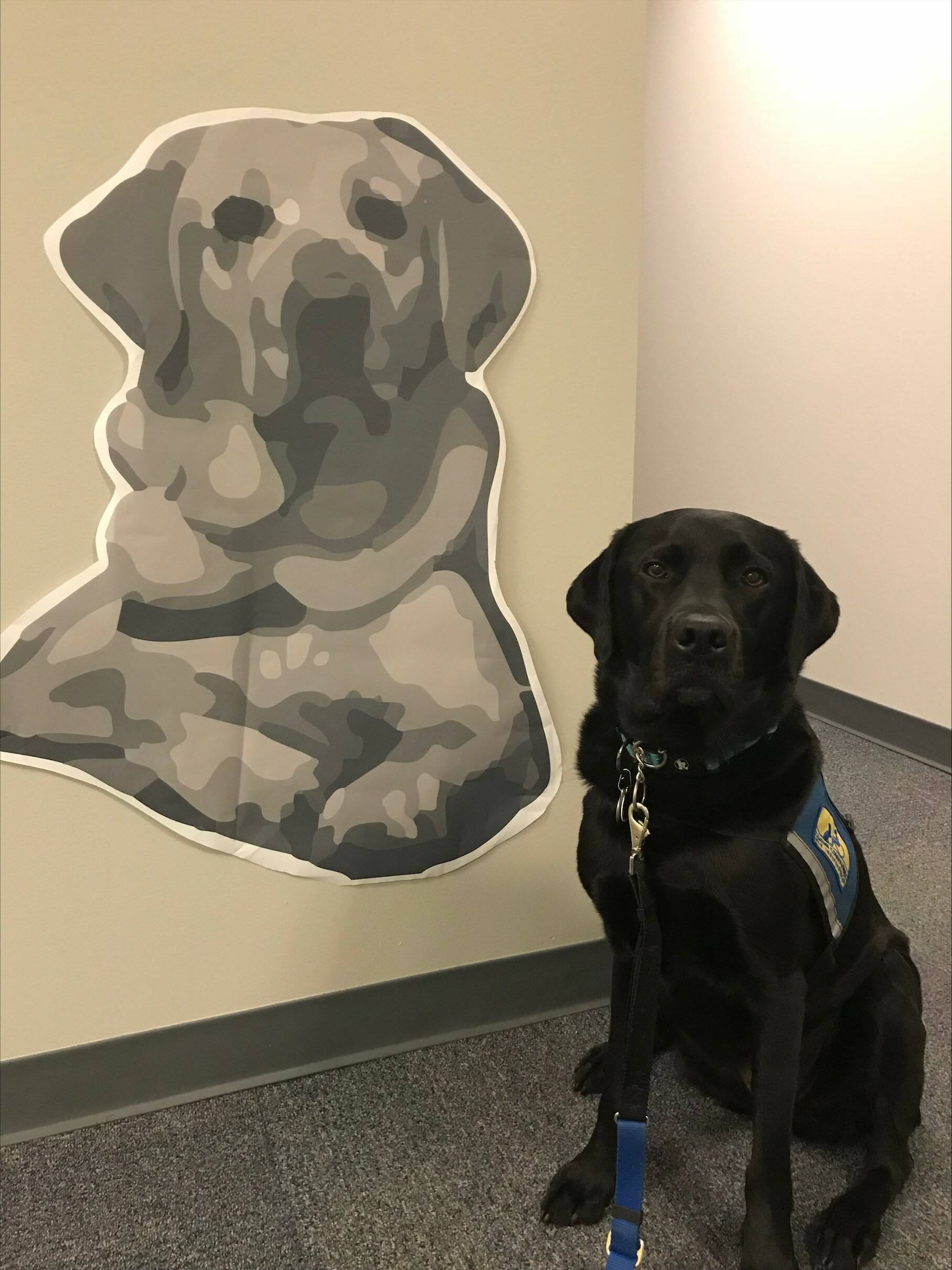 Errol is retiring as a courthouse dog. Courtesy photo