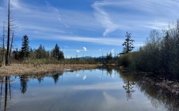 Flood waters make W. Snoqualmie River Road NE near The Blue Heron Golf Course impassable, March 25, 2025. Many secondary roads closed last flood season, despite no main road closures. (Grace Gorenflo/Valley Record)