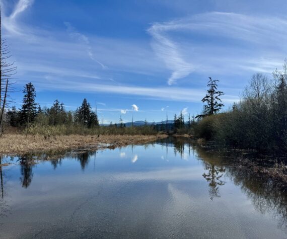 <p>Flood waters make W. Snoqualmie River Road NE near The Blue Heron Golf Course impassable, March 25, 2025. Many secondary roads closed last flood season, despite no main road closures. (Grace Gorenflo/Valley Record)</p>