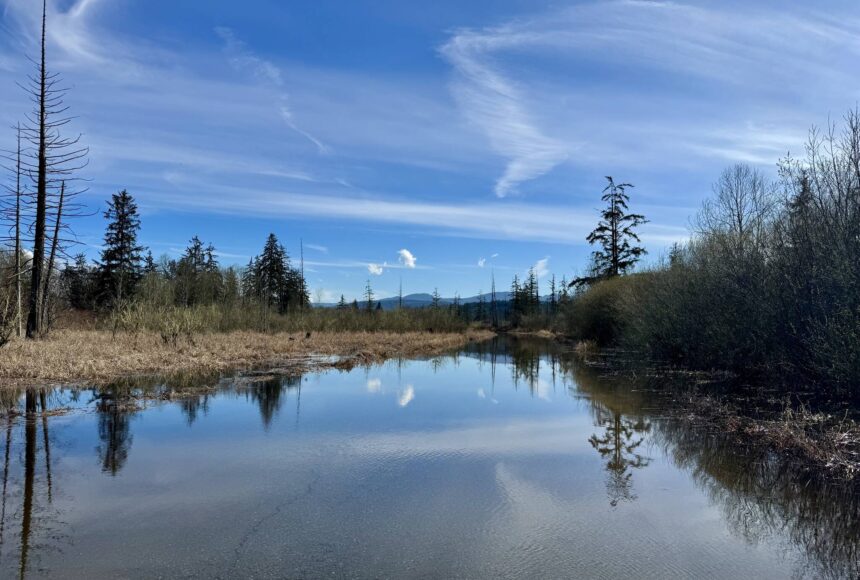 <p>Flood waters make W. Snoqualmie River Road NE near The Blue Heron Golf Course impassable, March 25, 2025. Many secondary roads closed last flood season, despite no main road closures. (Grace Gorenflo/Valley Record)</p>