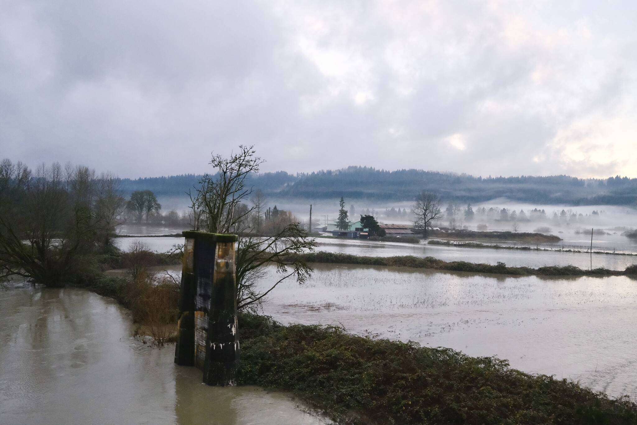 Snoqualmie River water flows onto the Muddy Boots Pumpkins farm property in Duvall, Dec. 10. 2025. (Grace Gorenflo/Valley Record)