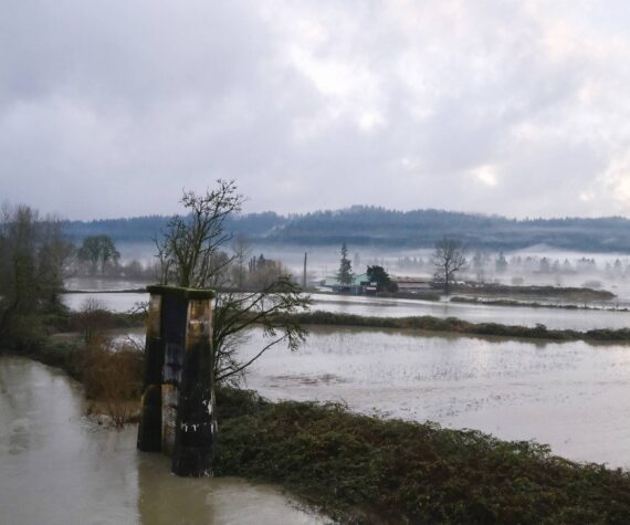 <p>Snoqualmie River water flows onto the Muddy Boots Pumpkins farm property in Duvall, Dec. 10. 2025. (Grace Gorenflo/Valley Record)</p>