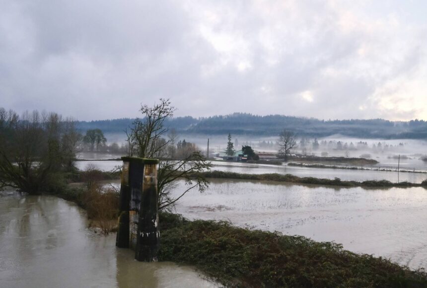 <p>Snoqualmie River water flows onto the Muddy Boots Pumpkins farm property in Duvall, Dec. 10. 2025. (Grace Gorenflo/Valley Record)</p>