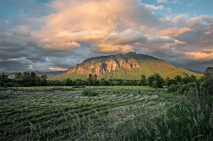 Danny Raphael’s photograph