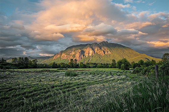 Danny Raphael’s photograph