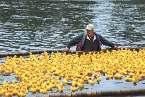 A volunteer uses a floating boom to channel Fall City's Ducky Derby.