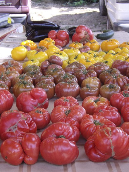 Produce at the Carnation Farmer's Market