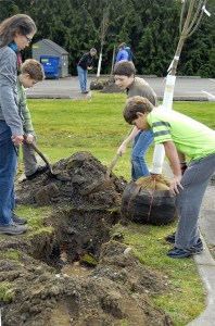Discovering the hole for their sapling was already too deep