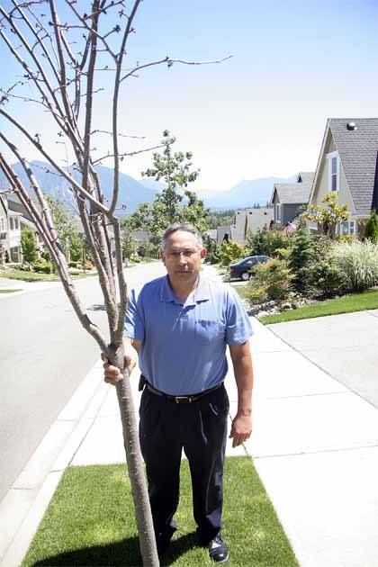Inspecting a scrawny sapling