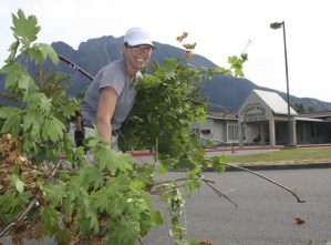 Volunteers bring fresh look for school's start at Valley elementaries