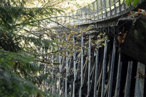 The Tokul Creek Trestle