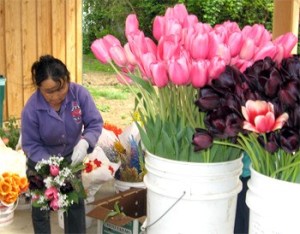 A flower vendor assembles a bouquet of early spring flowers on opening day of the Carnation Farmers Market.