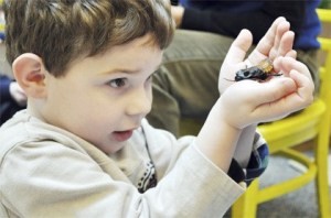 Four-year-old Henry Himmelberger holds a Madagascar hissing cockroach during a Science on Wheels enrichment class Friday