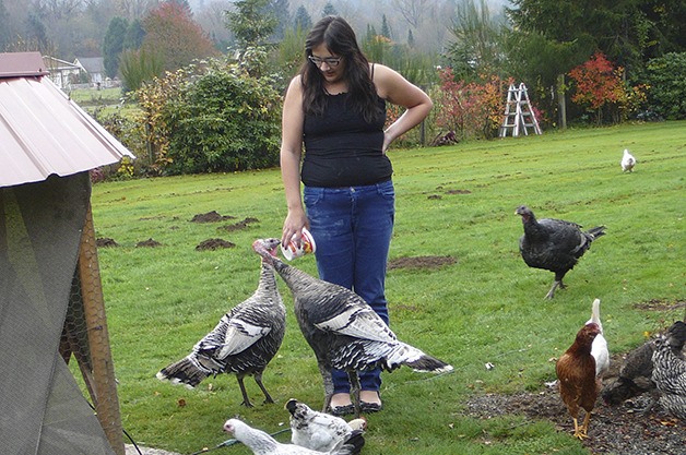 Reader Photo | Tom turkey struts his stuff in North Bend