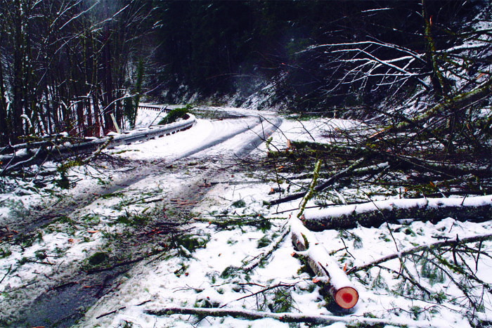 Highway travel shut down due to downed trees during last winter’s three-day blackout in Snoqualmie. Winter storms have real consquences in the Valley. Plan and gather supplies ahead of time.